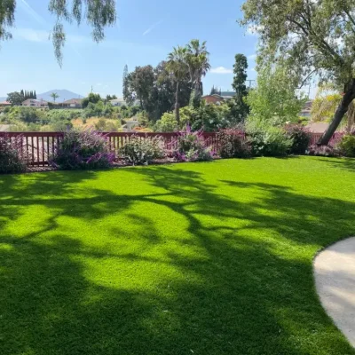 Remodel Your Yard